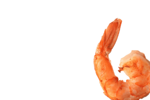 Tiefkühlprodukte