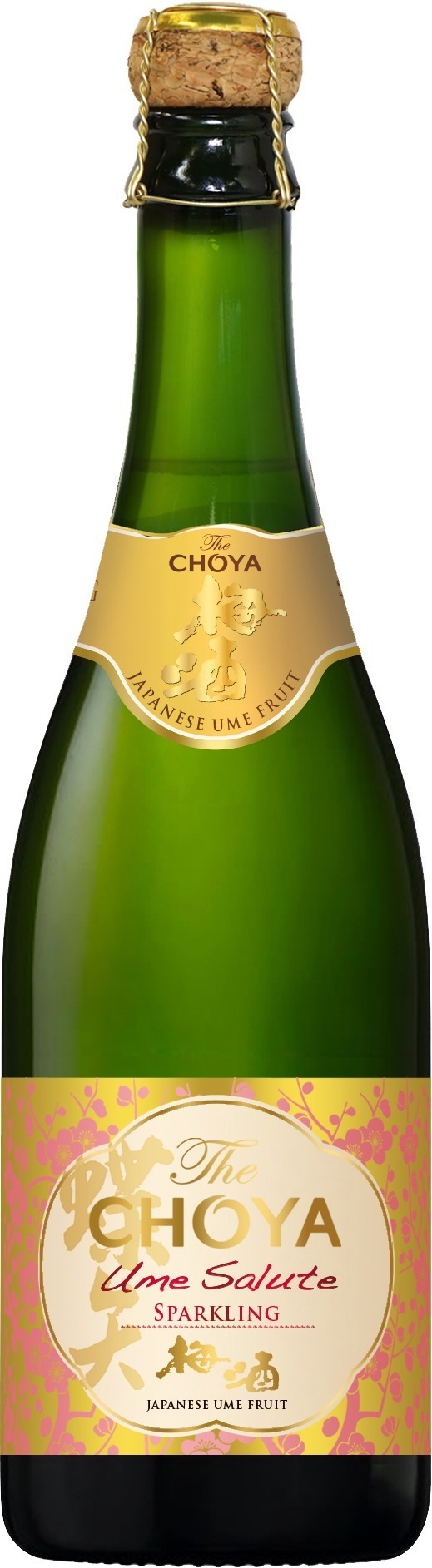 The CHOYA Ume Salute Sparkling 750ml