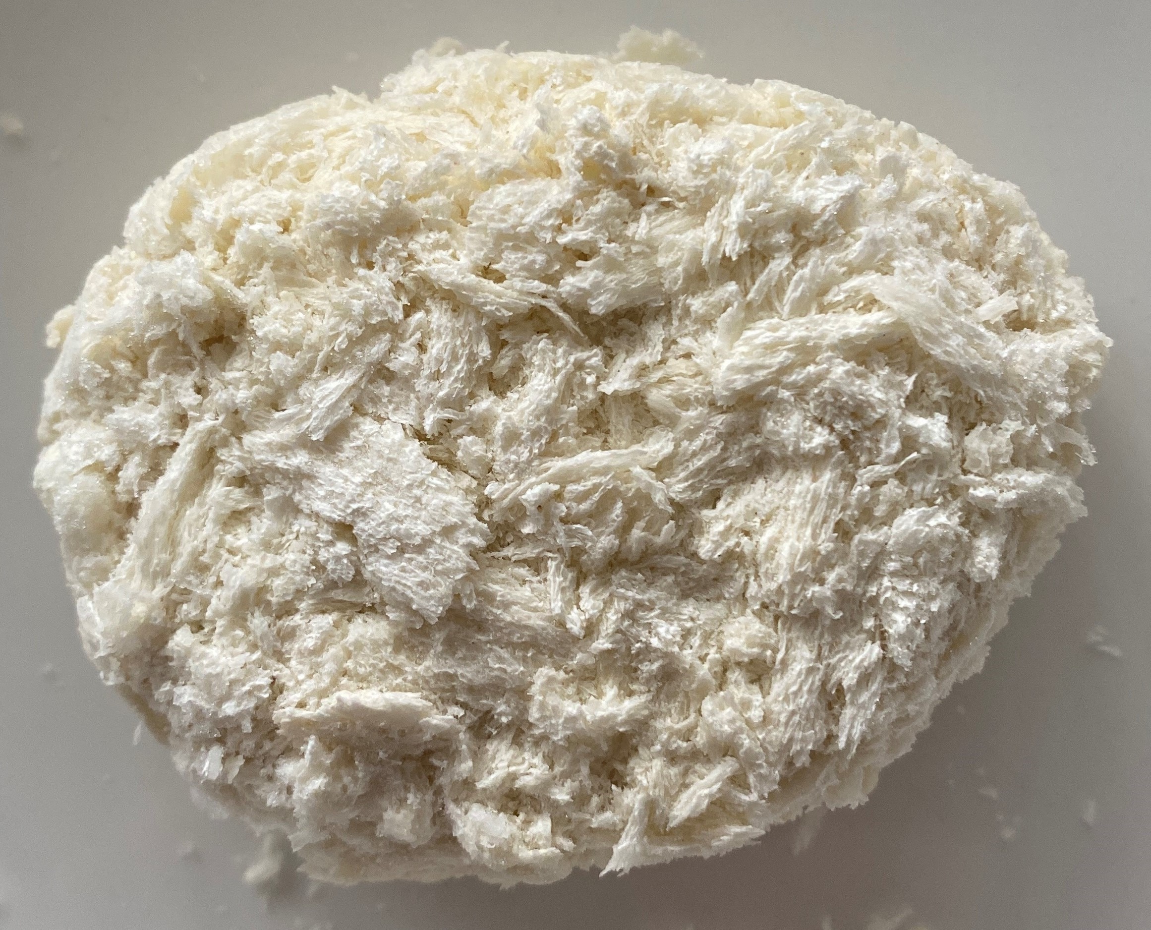 Curry Krokette aus Kartoffeln und pflanzenbasiertem Fleisch – Bild 2