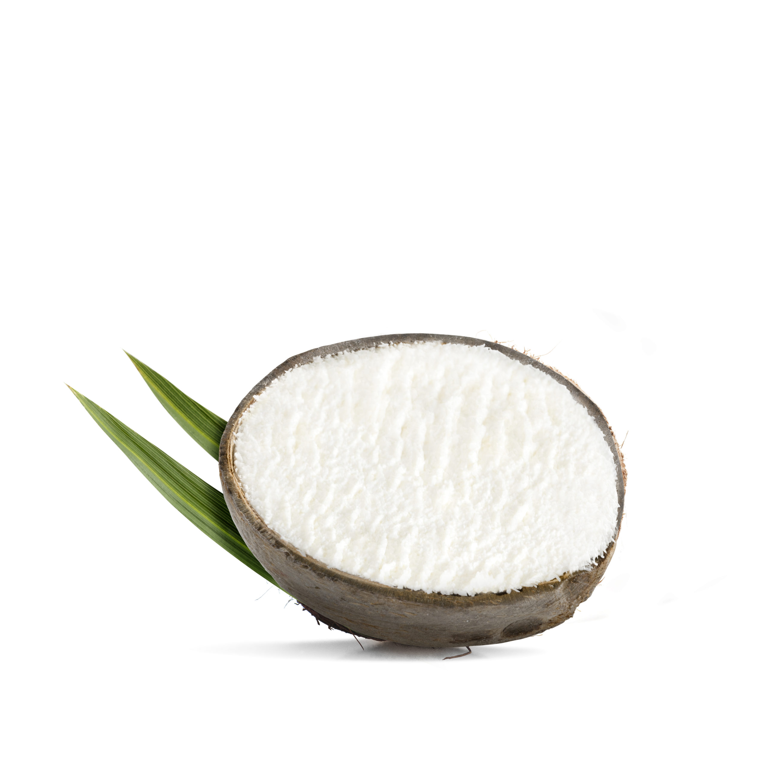 COCONUT JUICE CREAM